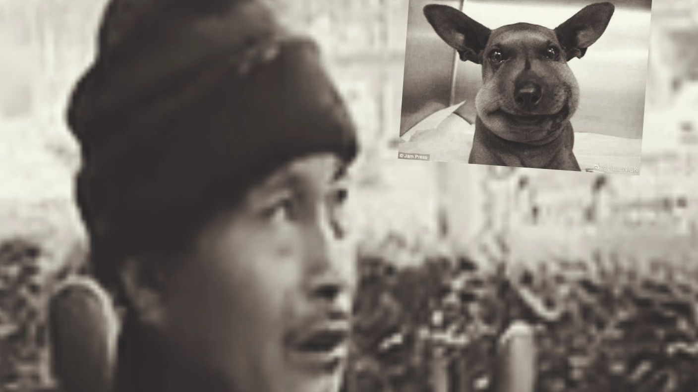 一 语 双 关
